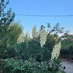 Location Bastia, U Fiumicellu. Vue Mer. Jacuzzi, Barbecue,... Pour 2 Personnes 公寓 *