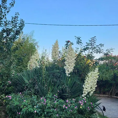 Location Bastia, U Fiumicellu. Vue Mer. Jacuzzi, Barbecue,... Pour 2 Personnes Apartament *