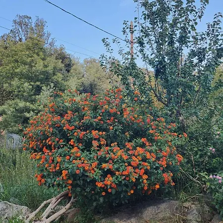 Location Bastia, U Fiumicellu. Vue Mer. Jacuzzi, Barbecue,... Pour 2 Personnes