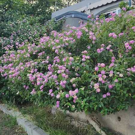 Location Bastia, U Fiumicellu. Vue Mer. Jacuzzi, Barbecue,... Pour 2 Personnes Μπαστιά