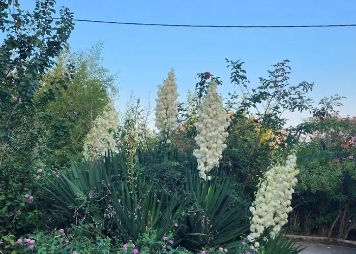 Location Bastia, U Fiumicellu. Vue Mer. Jacuzzi, Barbecue,... Pour 2 Personnes Apartmán *